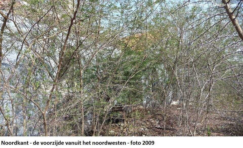 12. Noordkant voorzijde vanuit het noordwesten 2009